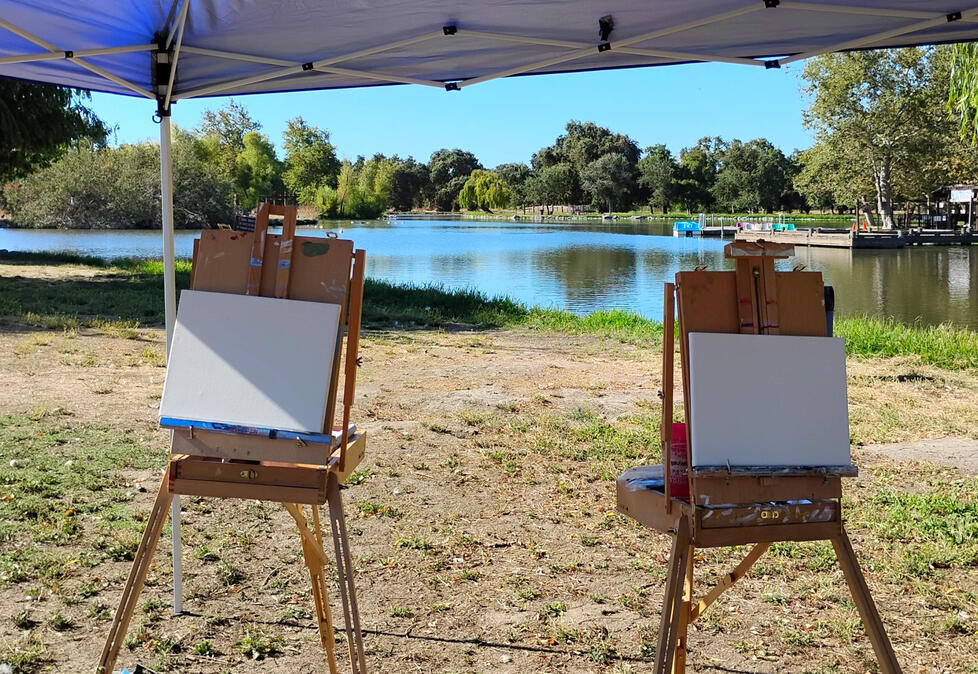 Live art of Oak Grove Shumway Park.